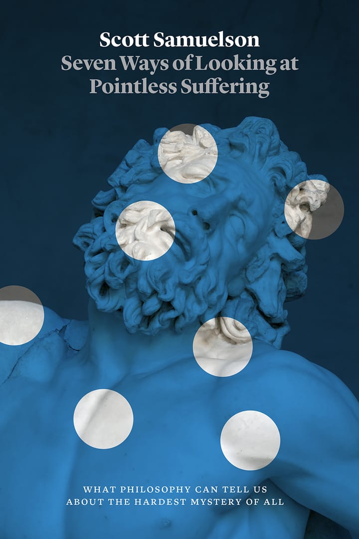 Summary of "Seven Ways of Looking at Pointless Suffering"